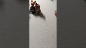 сильвашки милашки 20 серия  Исчезнувшие зонтики