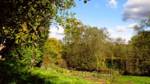 На природе ( 2025 год )