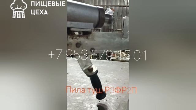 Пила для распиловки туш на полутуши Р3Фр2п