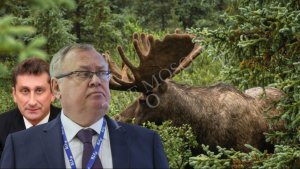 ВТБ и лесная промышленность