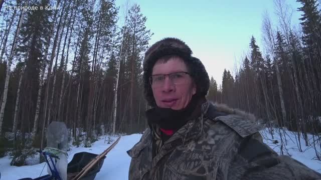 Первый поход за Чагой за всю зиму. 12 серия