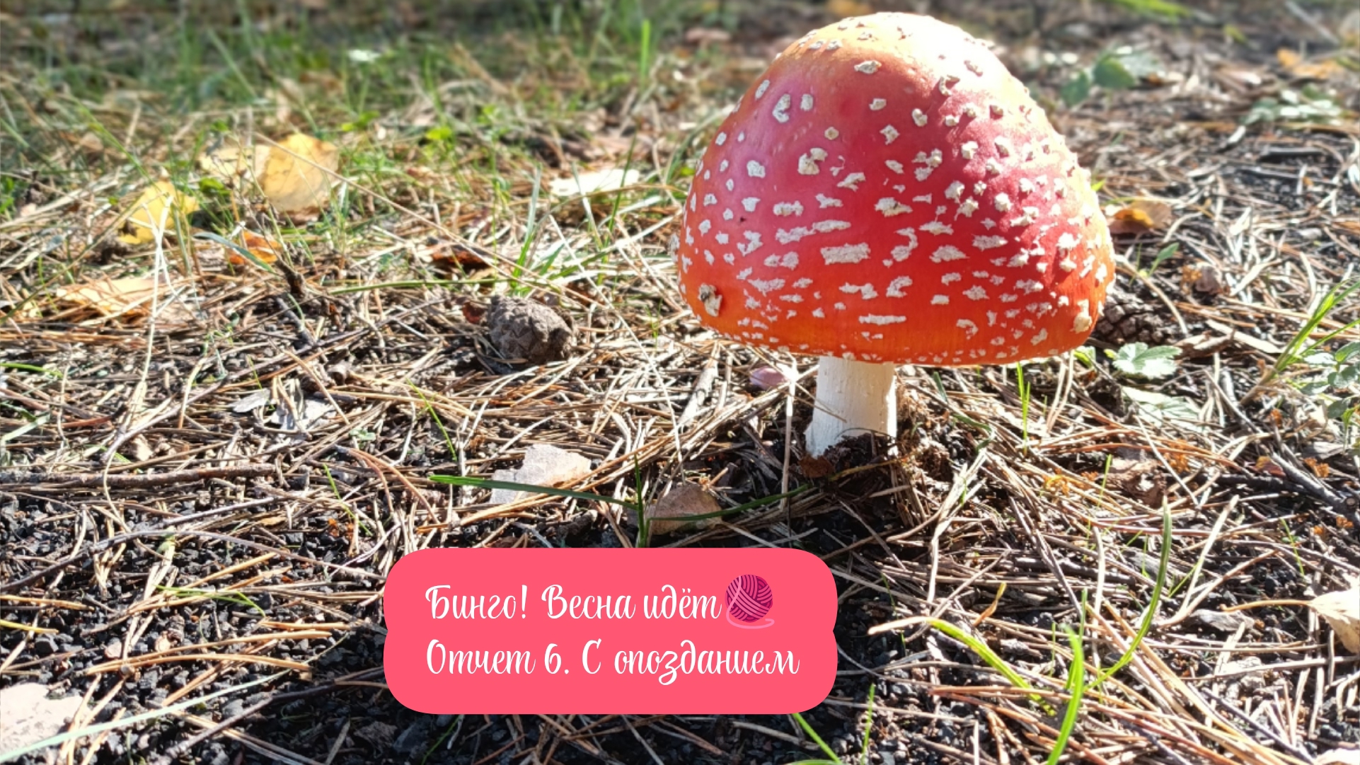 Вязальная активность "Бинго! Весна идёт" от "Вязание- это серьёзно"🧶 Отчет 6.