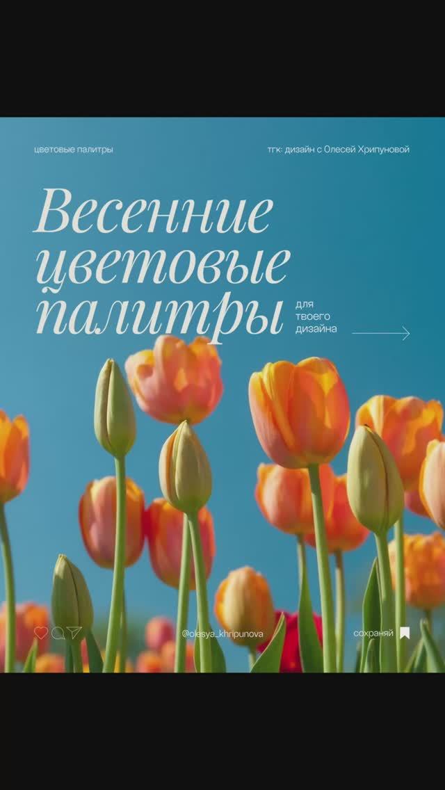 Пиши ПАК — пришлю ссылку на тренды 2026, шрифты, мокапы, цвета, текстуры, сервисы и промпты.