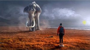 Получается, что я жил всегда.