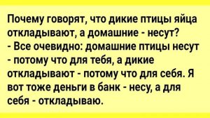 Анекдоты!_Муж_и_Жена_Зайка!_Сборник_Веселых_Анедотов!_Юмор_и_Позитив!