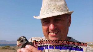 Проблемы с подарочными картами маркетплейса