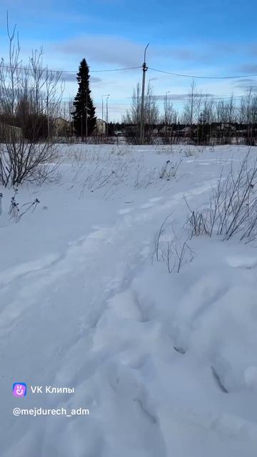 vkclips_20260409122717