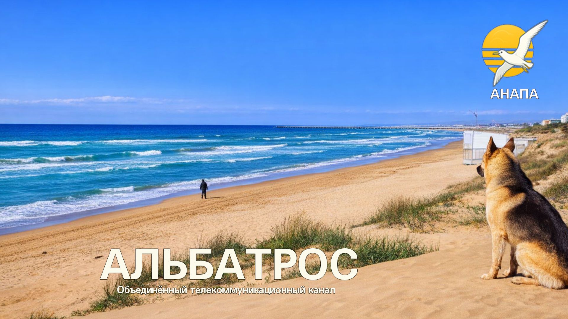 1 апреля 2026 года Море Раковина Дюны Лох узколистый и Пёсель