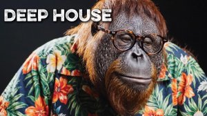 Музыка в Машину 2026 🚘 | Deep House Микс | музыка для фона