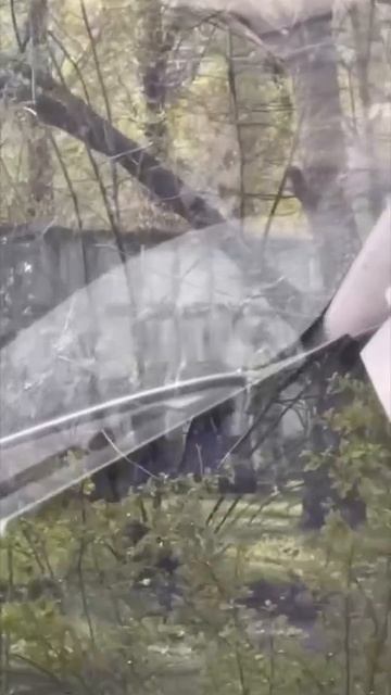 Принудительная мобилизация, Украина