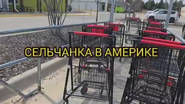 Сельчанка в Америке  САМЫЙ НАТУРАЛЬНЫЙ МАГАЗИН В США
