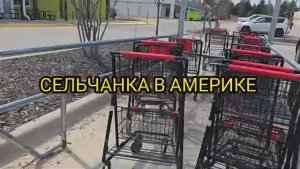 Сельчанка в Америке  САМЫЙ НАТУРАЛЬНЫЙ МАГАЗИН В США