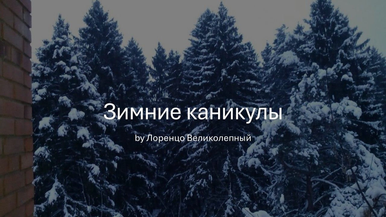 Зимние каникулы