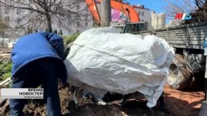 В Волгограде деревья с Привокзальной площади пересадили в сквер 8 марта