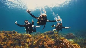 Подводный мир и глубокий релакс