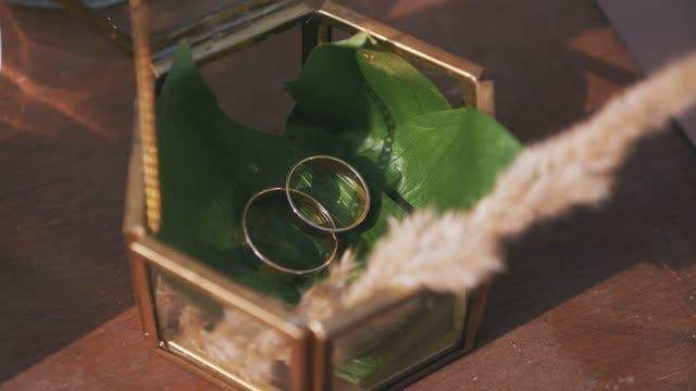 Выездная регистрация. Ведущая Силантьева Александра