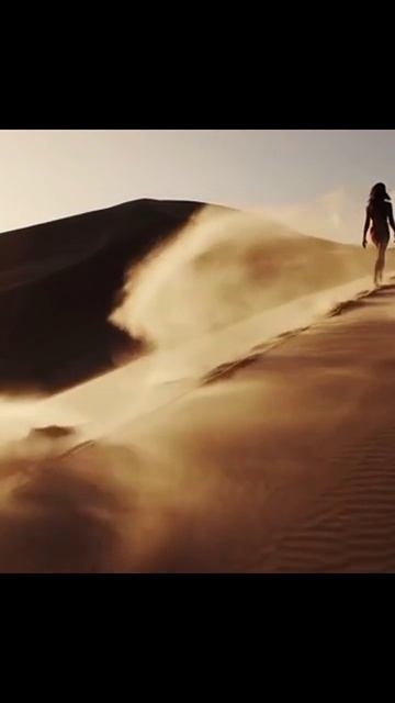 #пустыня #солнечныйдень #жизньвпустыне #тёплыйклимат #пески #пустынныйландшафт