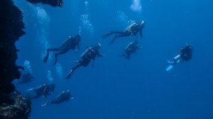 Марш аквалангистов (1968г)