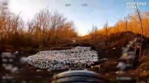 🔥Белгородское направление. Работает «Рубикон»