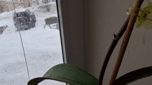 Закончился Март ,привет Апрель. Протёрла от пыли мультиварку.