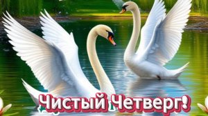 Чистый Четверг. Поздравляю, Мира и Добра 🌿