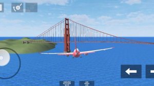 Авиакотострофа