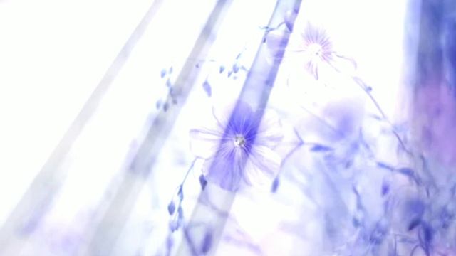 Золотые Драконы и Ангелы Света. О СОТВОРЧЕСТВЕ С ОТЦОМ 07.04.2026 53 Послание