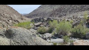 Дороги Монголии