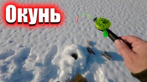 Окуневая рыбалка 2026 — Красноярское море. Рыбалка. Зимняя рыбалка.  Русская рыбалка. fishing.