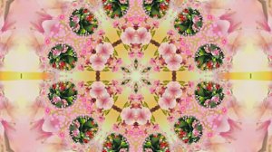 Весна! Очаровательные тюльпаны 8! Киностудия Мудрого Кота Тимофея!