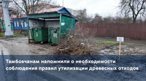 Тамбовчанам напомнили о необходимости соблюдения правил утилизации древесных отходов