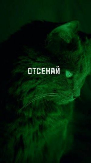 ОШИБКА ФОКУСА