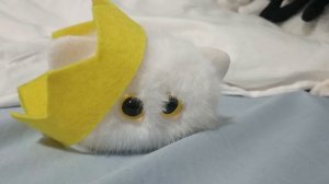 мои изаенения за вопрос вани