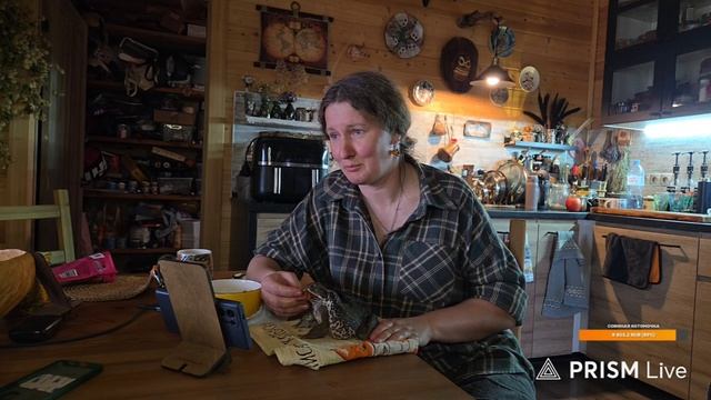 Стрим с кошкой Морошкой псом Кубиком жабой Брунгильдой и разговорчиками. Запись с Ютуба 9.04.26