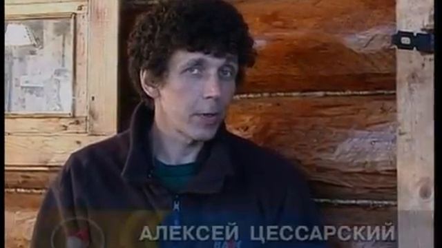 Как образуются котлы при охоте на малька Обыкновенного окуня Eurasian perch  Perca fluviatilis?