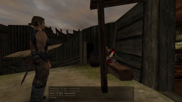 Gothic I. Часть 1. Старый Лагерь.