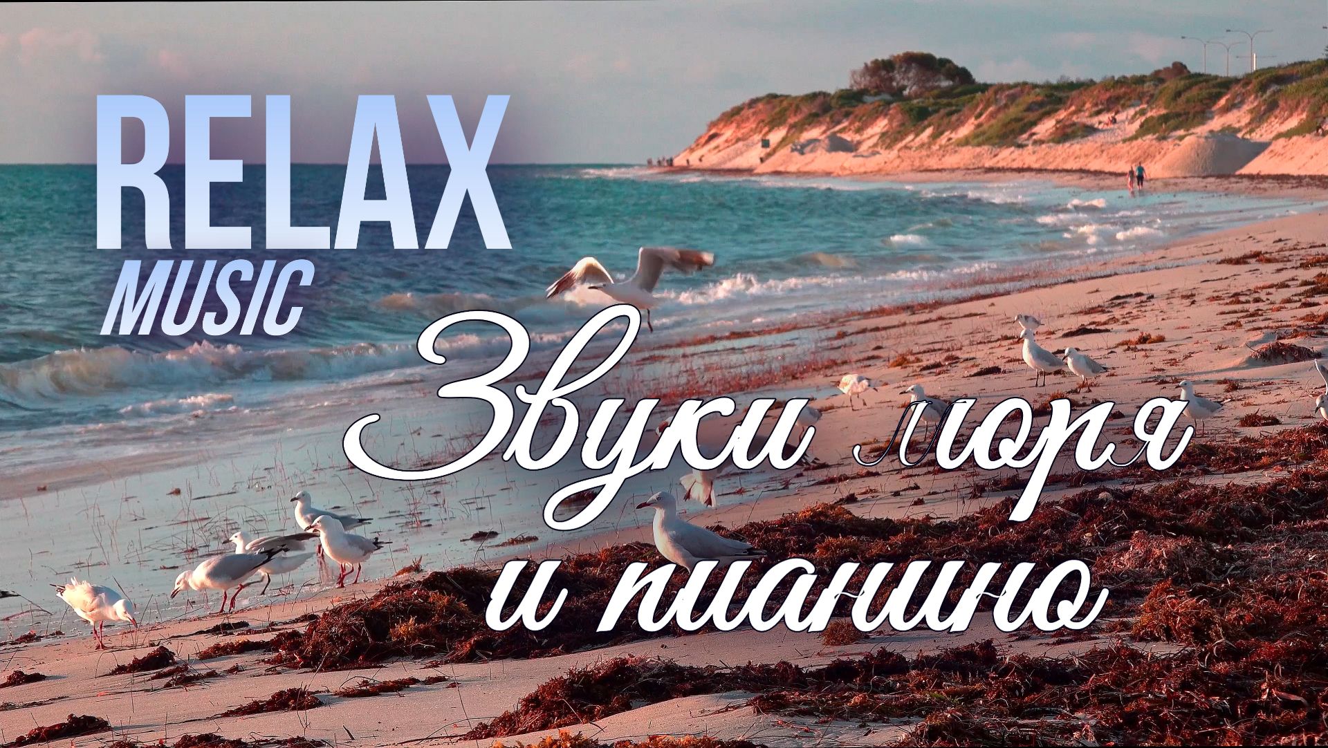 🌊 RELAX | ШУМ ВОЛН И ПИАНИНО С ЧАЙКАМИ — ИДЕАЛЬНАЯ МУЗЫКА ДЛЯ СНА, ОТДЫХА И РАССЛАБЛЕНИЯ