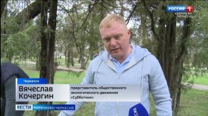 Озеленение парков - важная часть благоустройства городских территорий