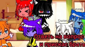 Разноцветные коты в комнате 24 часа 1 часть🐱