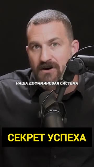 Нейробиолог раскрыл секрет мотивации #мотивация