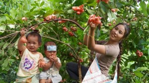 Мама поневоле. Дуонг. Сбор урожая розового яблока и продажа его на рынке. Сушка кукурузы. Серия 119