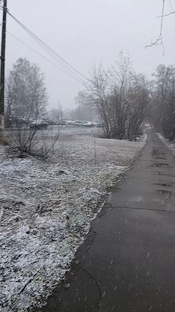 Апрельский снегопад