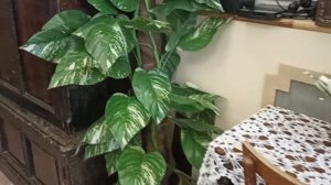 Камышлов. Купеческий быт. Краеведческий музей