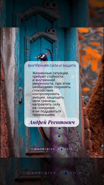 Солнечные рекомендации. Накопление опыта. Внутренняя сила и защита. | Андрей Реентович #shorts