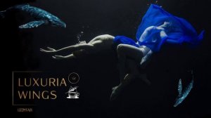 LedyFar ~ Whale depth...(Original)