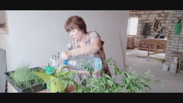 Купила розы, подкормка для клубники. Закупка продуктов к празднику.