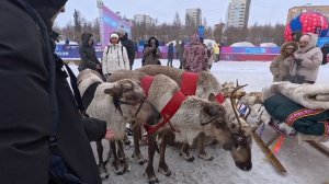 День Оленевода - 2026 город Новый Уренгой Ямало Ненецкий автономный Округ 4 Апреля 2026г. 2 Часть