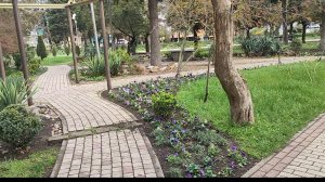 Игорь гуляет по парку, пока мы у стоматолога.