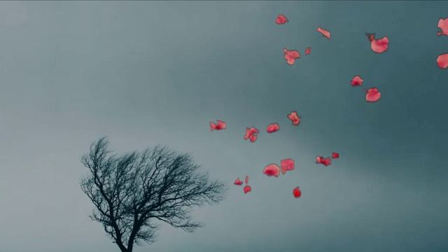 video_Анна Каренина, Эпизод 61