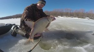 Рыбалка на Оби. Глава 101. Донные снасти спасают ситуацию.